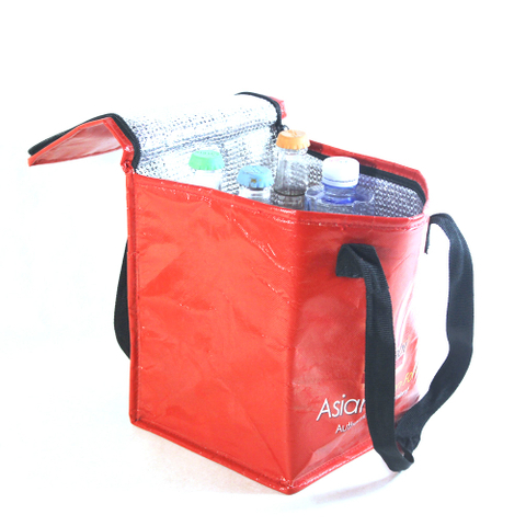 MECO Large volume Insulated Cooler Bag 